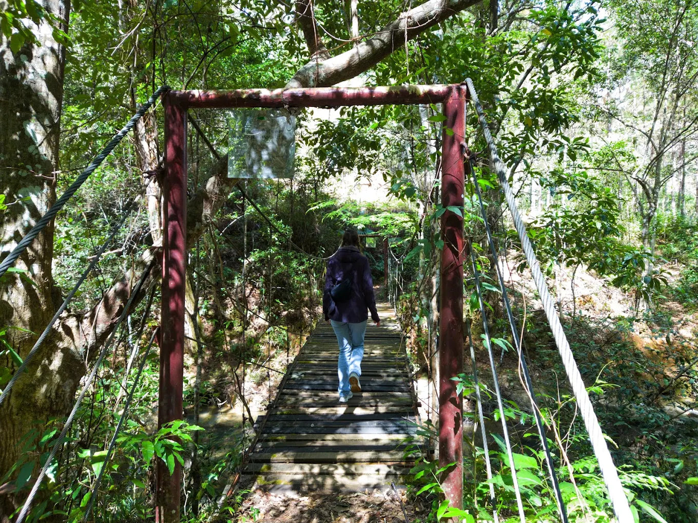 Làm thế nào để đặt tour trekking và xe đưa đón uy tín?