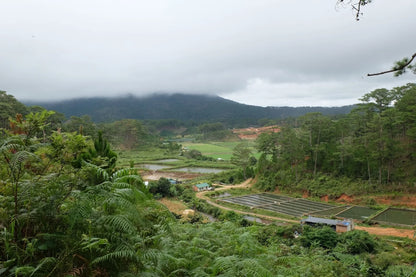 Vườn Quốc Gia Bidoup Núi Bà