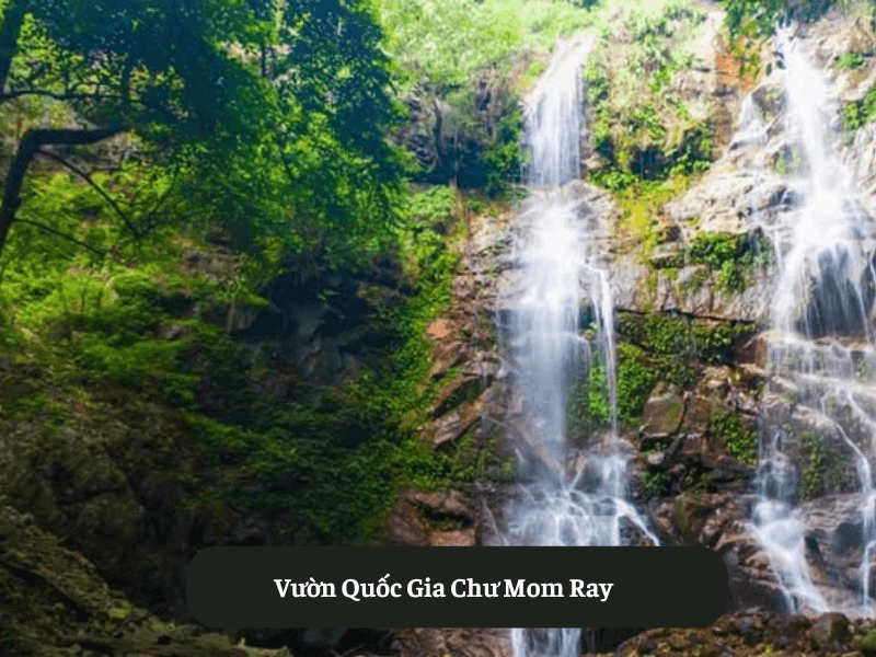 Vườn Quốc Gia Chư Mom Ray