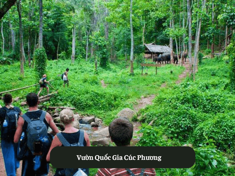 Vườn Quốc Gia Cúc Phương