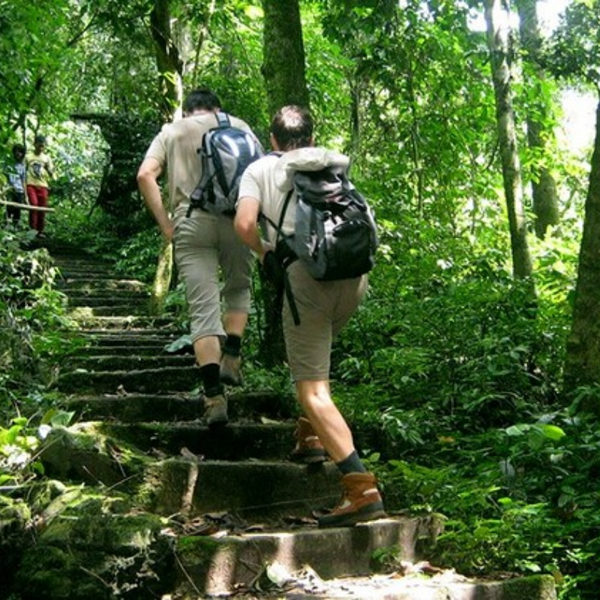 Vườn Quốc Gia Cúc Phương