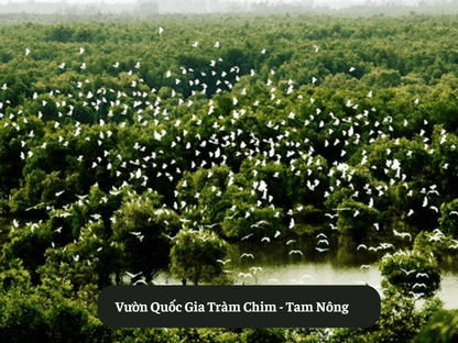 Vườn Quốc Gia Tràm Chim - Tam Nông