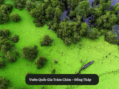 Vườn Quốc Gia Tràm Chim – Đồng Tháp