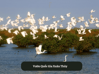 Vườn Quốc Gia Xuân Thủy