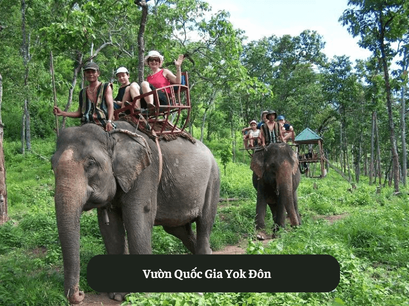 Vườn Quốc Gia Yok Đôn