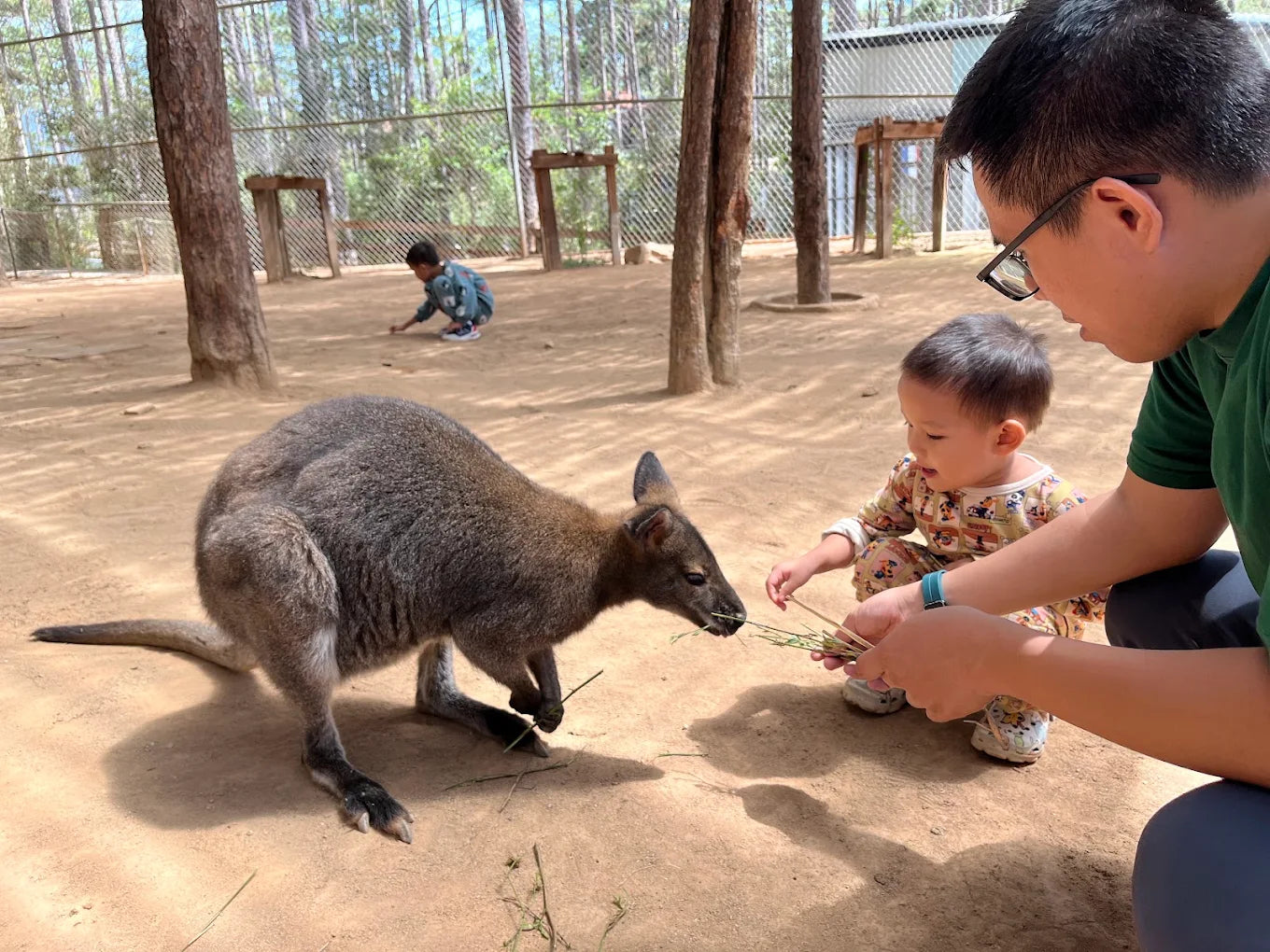 Vườn Thú ZooDoo Đà Lạt