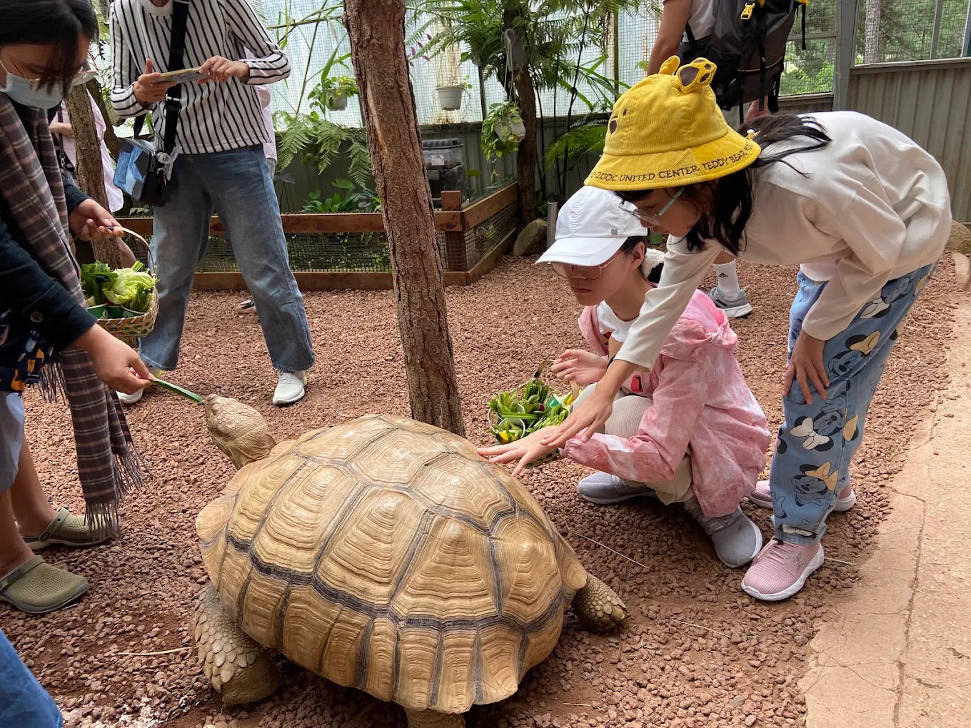 Vườn Thú ZooDoo Đà Lạt