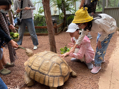 Vườn Thú ZooDoo Đà Lạt