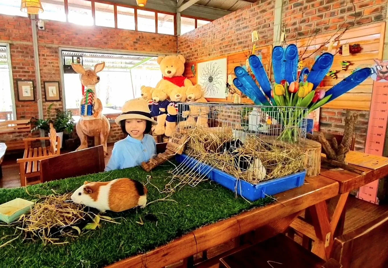 Những Trải Nghiệm Độc Đáo Tại Vườn Thú ZooDoo