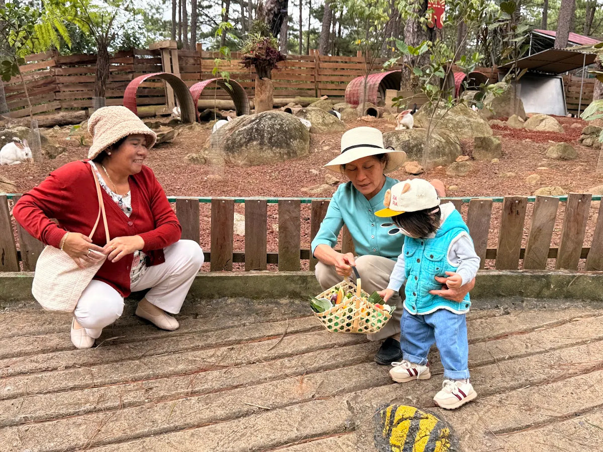 Bảng Giá Vé Tham Quan Và Dịch Vụ Du Lịch