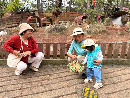 Bảng Giá Vé Tham Quan Và Dịch Vụ Du Lịch
