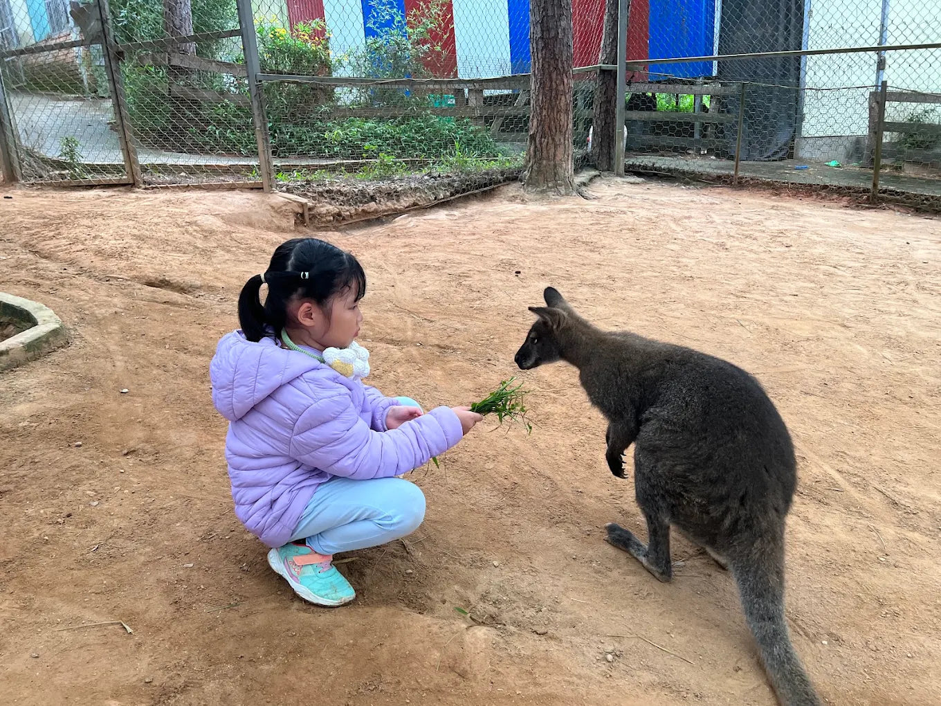 Những Câu Hỏi Thường Gặp Khi Khám Phá Vườn Thú ZooDoo Đà Lạt