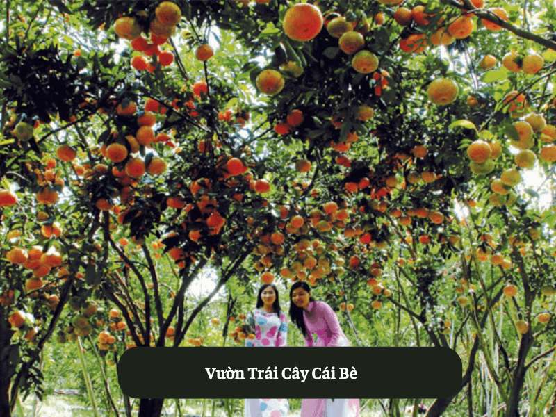 Vườn Trái Cây Cái Bè