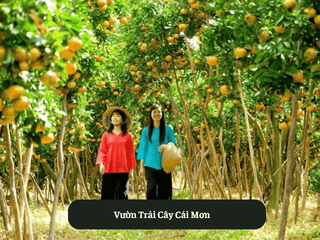 Vườn Trái Cây Cái Mơn