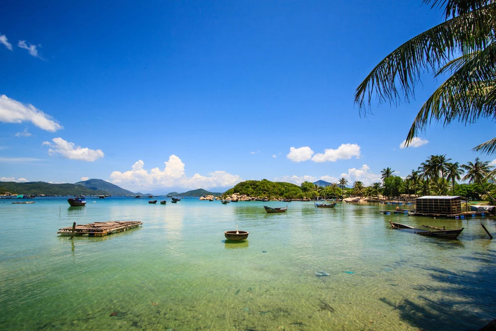 Những Lợi Ích Vượt Trội Khi Lựa Chọn Dịch Vụ Tại Localtrips.ORG