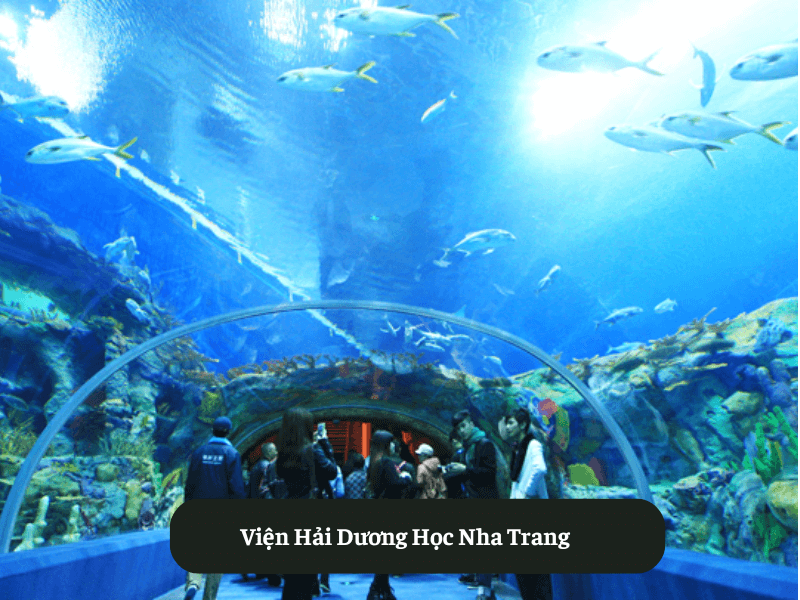 Viện Hải Dương Học Nha Trang