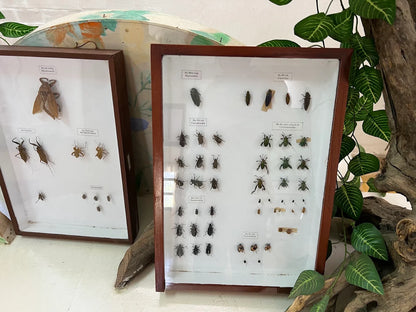 Viện Nghiên cứu Khoa học Tây Nguyên Đà Lạt