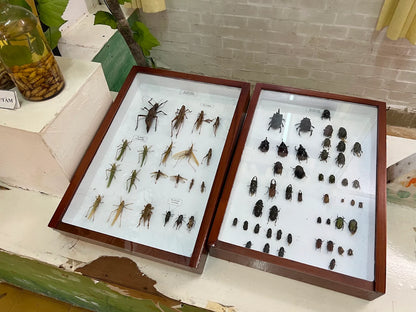 Viện Nghiên cứu Khoa học Tây Nguyên Đà Lạt