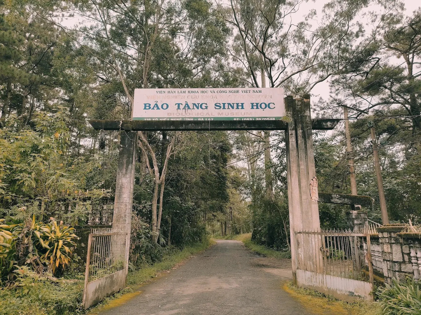 Những Trải Nghiệm Khoa Học Và Khám Phá Thiên Nhiên Đầy Hấp Dẫn