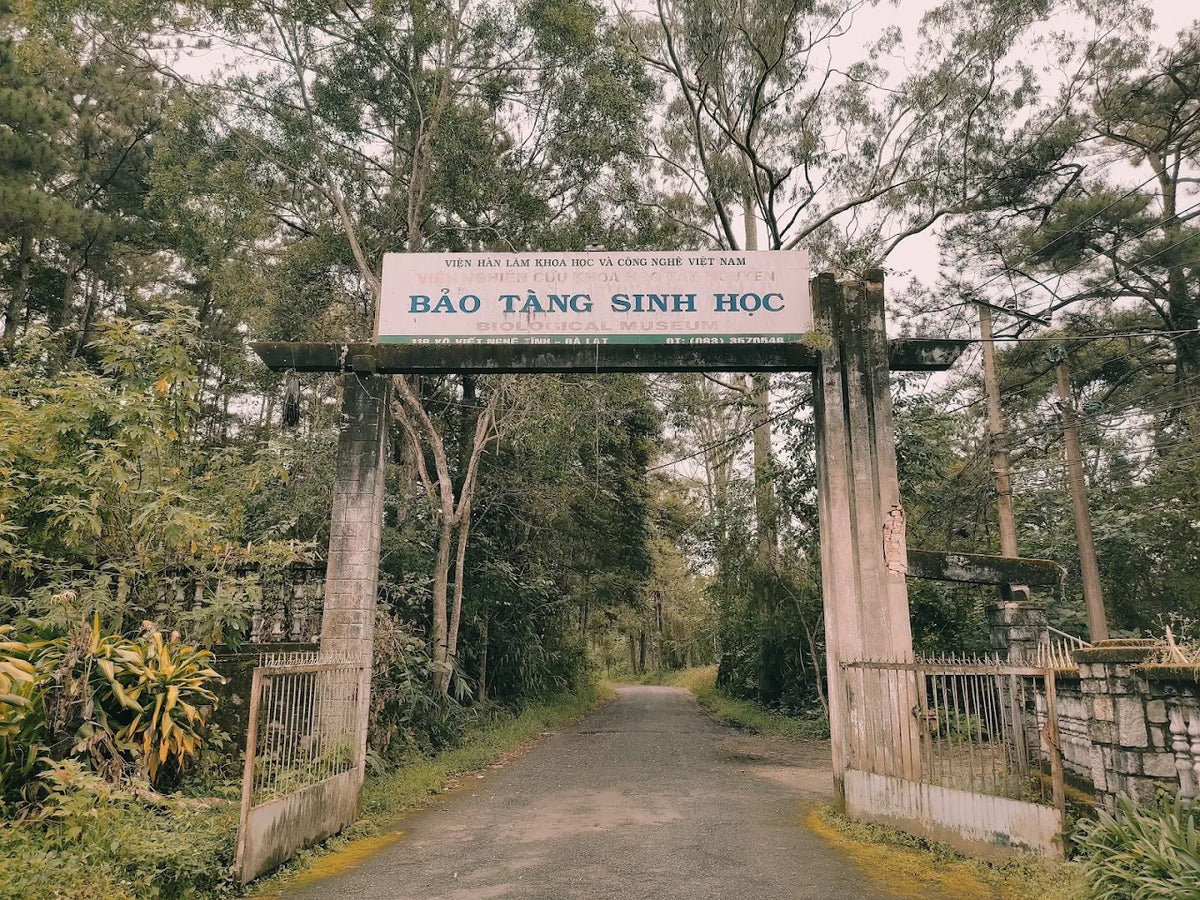 Những Trải Nghiệm Khoa Học Và Khám Phá Thiên Nhiên Đầy Hấp Dẫn