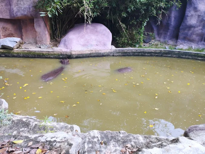 VinWonders Nha Trang