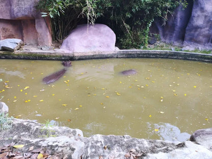 VinWonders Nha Trang