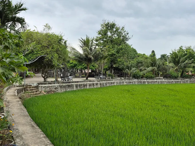 Localtrips.ORG chuyên cung cấp thông tin du lịch tại Chùa Thập Tháp