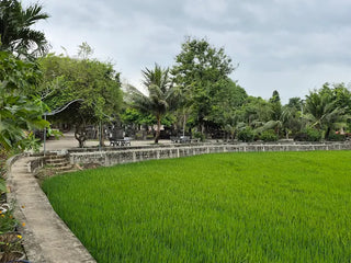 Localtrips.ORG chuyên cung cấp thông tin du lịch tại Chùa Thập Tháp