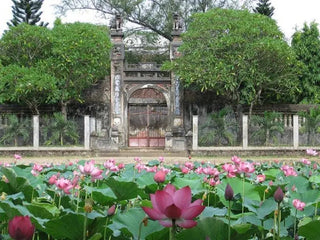 Chùa Thập Tháp Bình Định