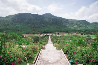 Đàn Tế Trời Đất Ấn Sơn - Tây Sơn