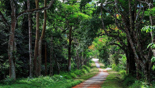 Travel to Ba Vi, Hanoi