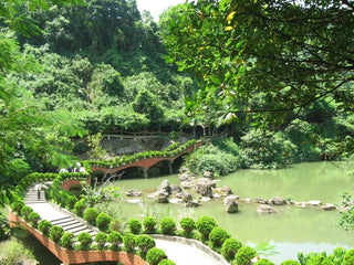 Travel to Ba Vi, Hanoi