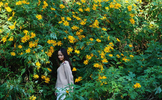 Travel to Ba Vi, Hanoi