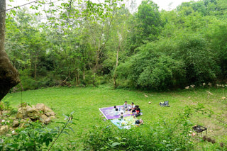 Travel to Ba Vi, Hanoi