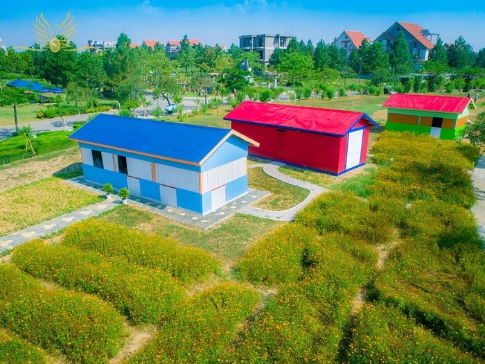 Khám Phá Vẻ Đẹp Yên Bình: Du Lịch Đan Phượng – Chuyến Đi Trọn Vẹn Từ A Đến Z