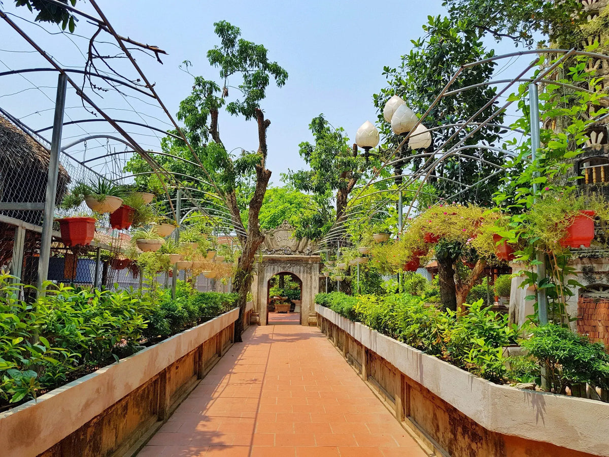 Sơn Tây, Hanoi Travel Guide