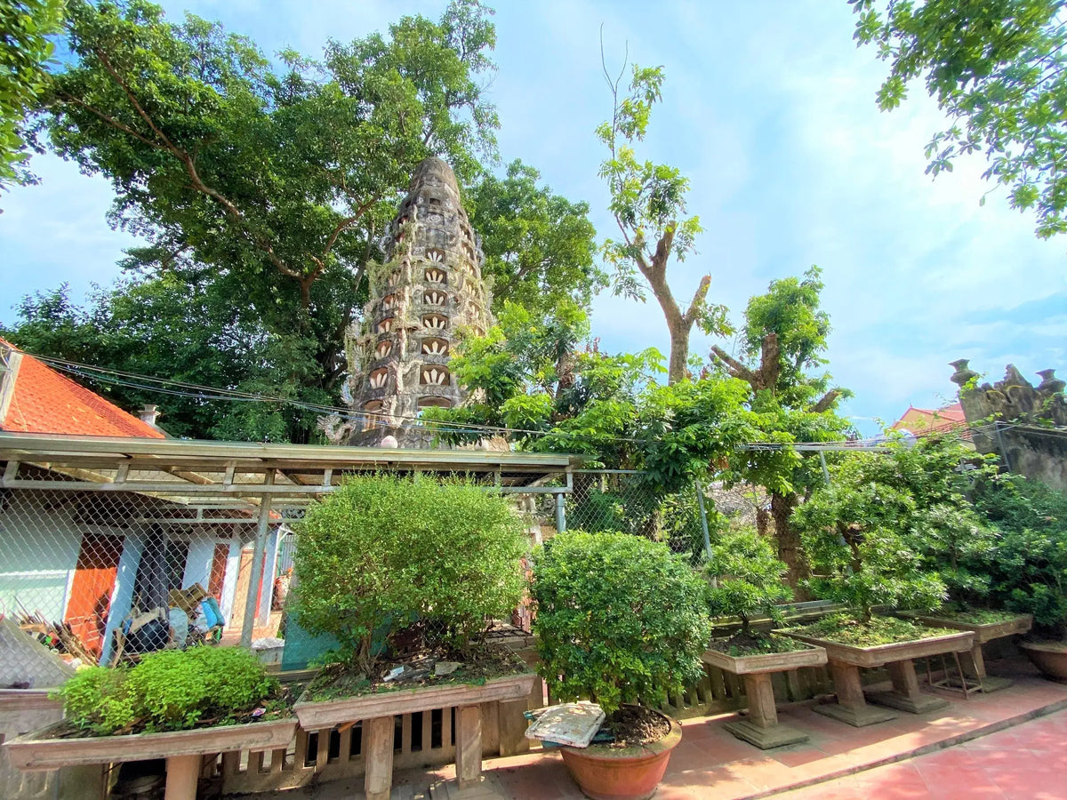 Sơn Tây, Hanoi Travel Guide