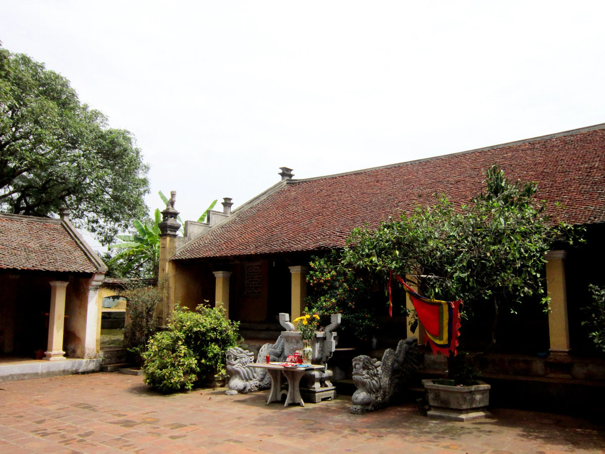 Sơn Tây, Hanoi Travel Guide