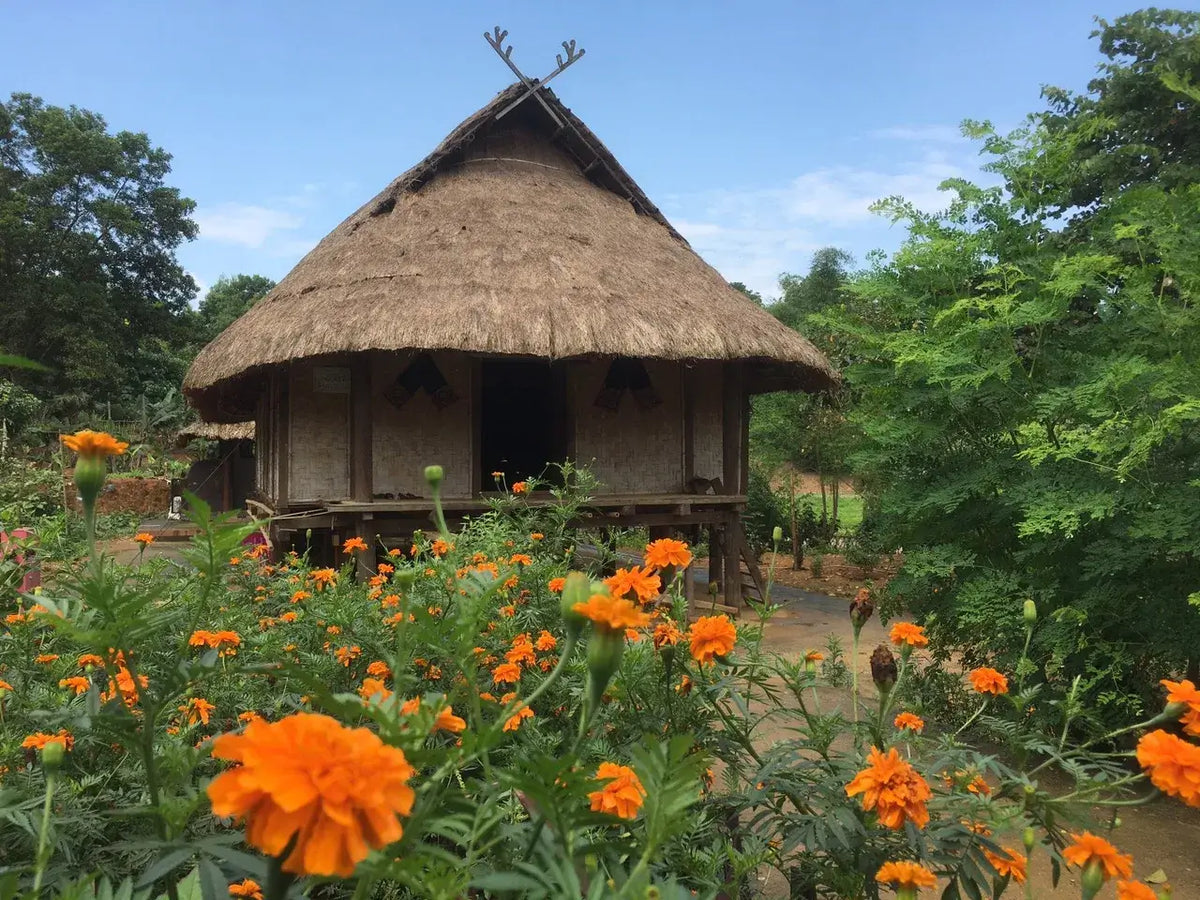 Sơn Tây, Hanoi Travel Guide