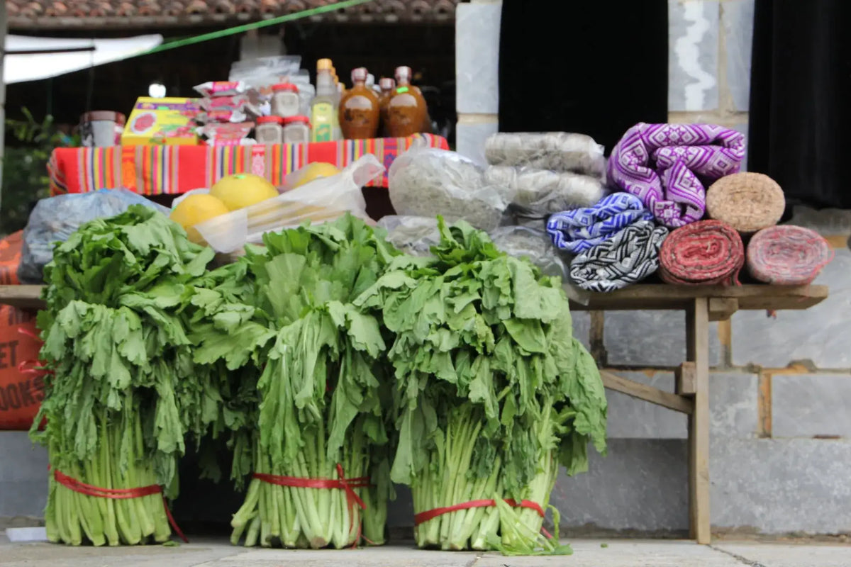 Sơn Tây, Hanoi Travel Guide
