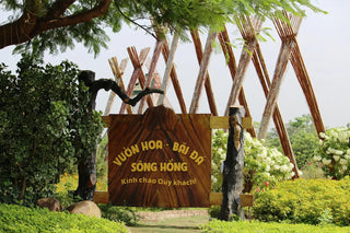 Traveling to Tay Ho (West Lake), Hanoi
