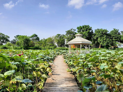 Du Lịch Tây Hồ, Hà Nội