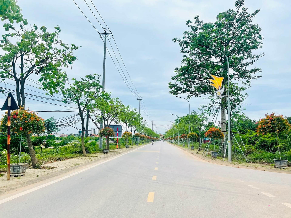 Thanh Tri, Hanoi Travel