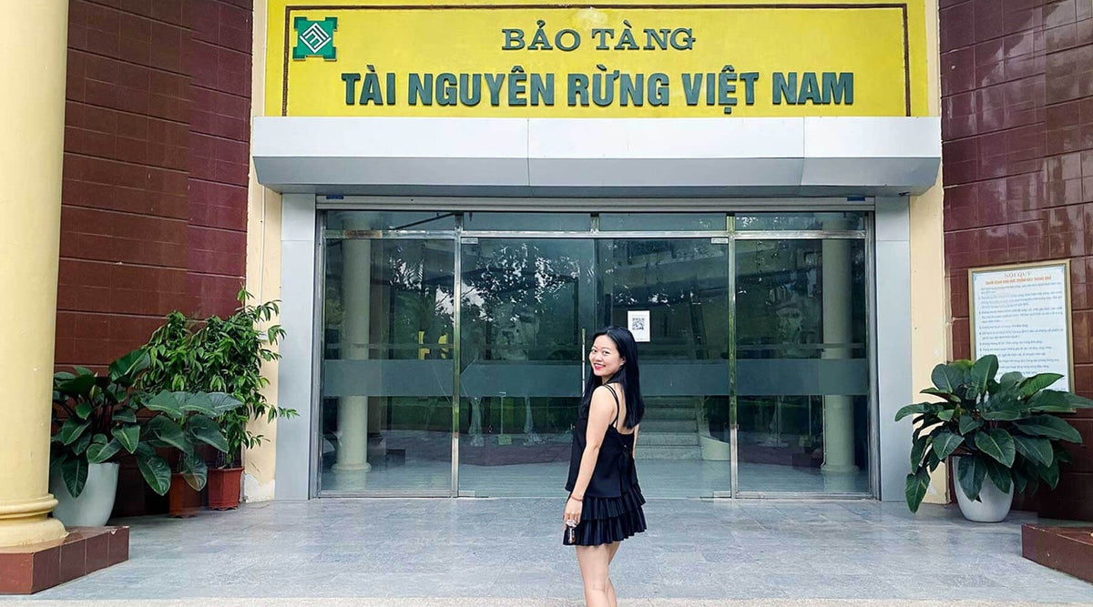 Thanh Tri, Hanoi Travel