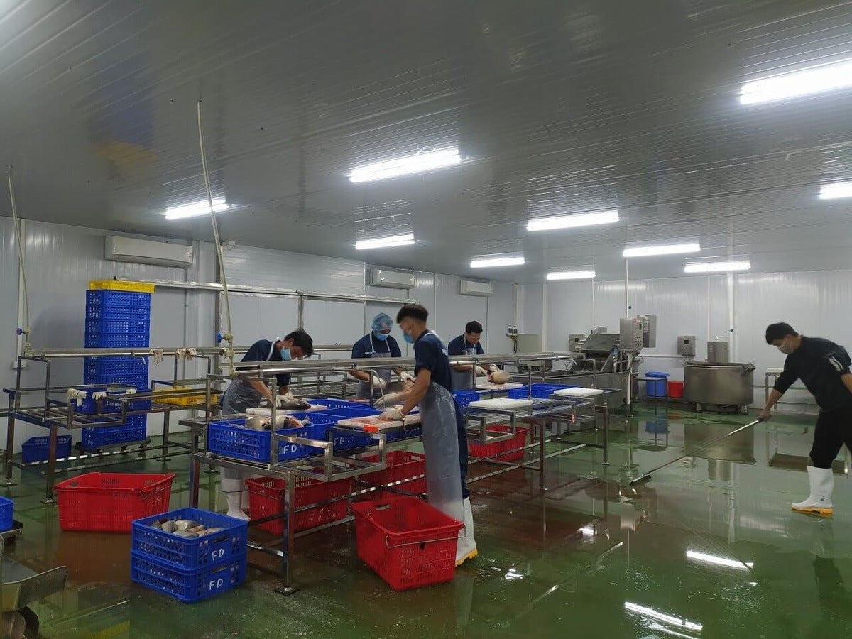 Thanh Tri, Hanoi Travel