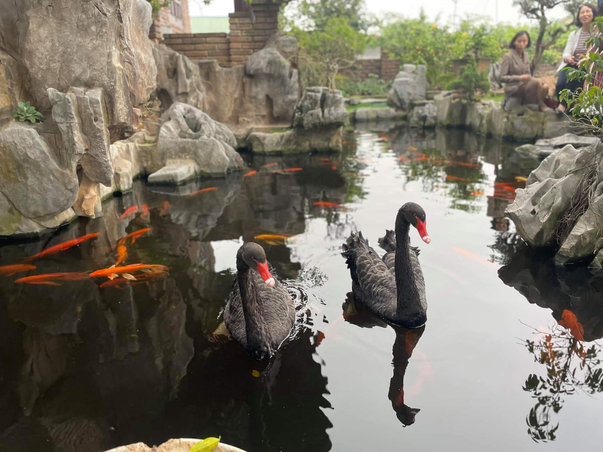 Thuong Tin, Hanoi Travel