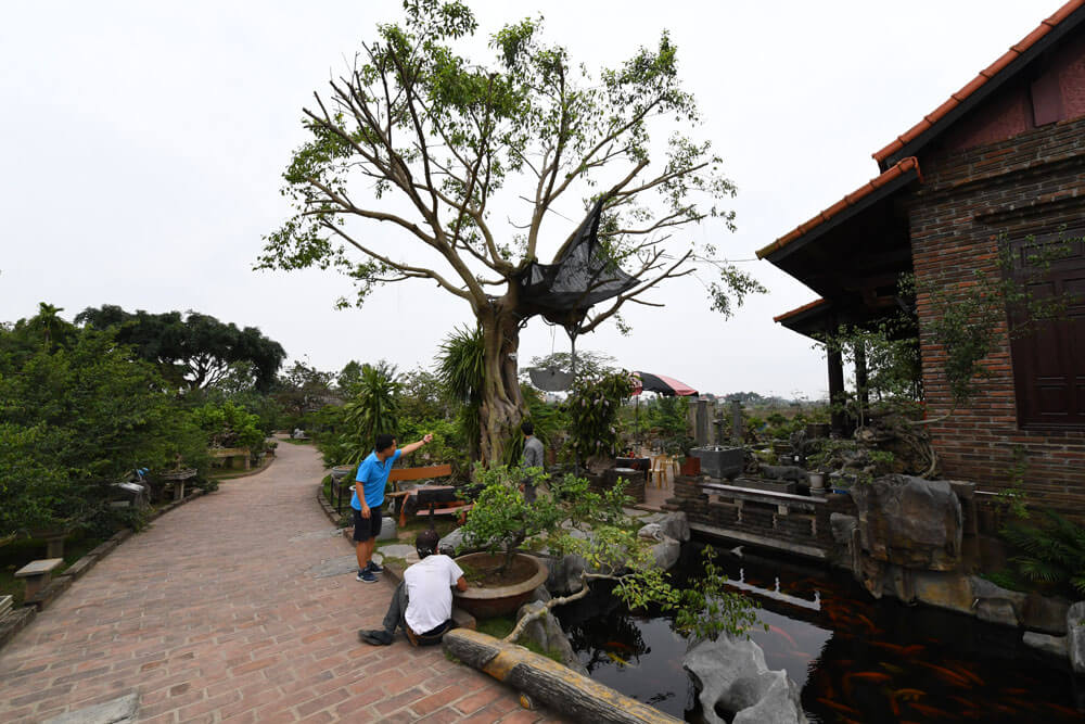 Thuong Tin, Hanoi Travel