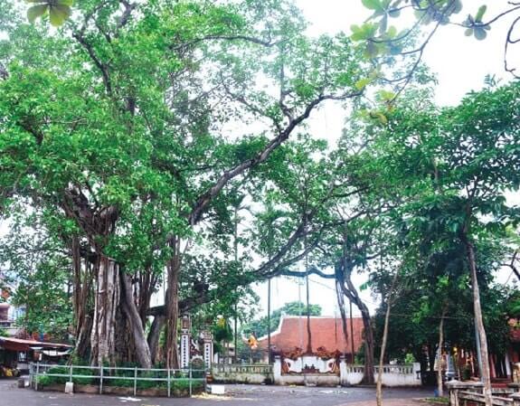 Ung Hoa Tourism, Hanoi