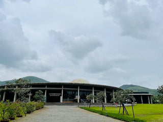 Kinh Tế Trung tâm Khám phá Khoa học Quy Nhơn, Bình Định Cũ, Gia Lai Mới