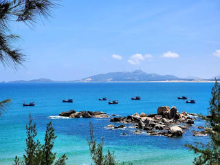 Khu dã ngoại Trung Lương